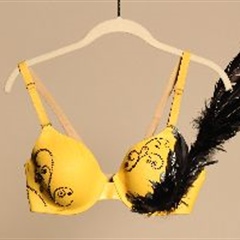 The Avett Bra-thers